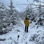 Hébergement de vacances Les Tyous